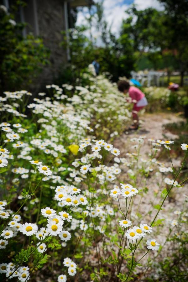 Turismo Rural O Xastre De Anos Cabana De Bergantinos ภายนอก รูปภาพ